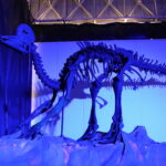 71 273 42188 18633166 TIERRA DINOS