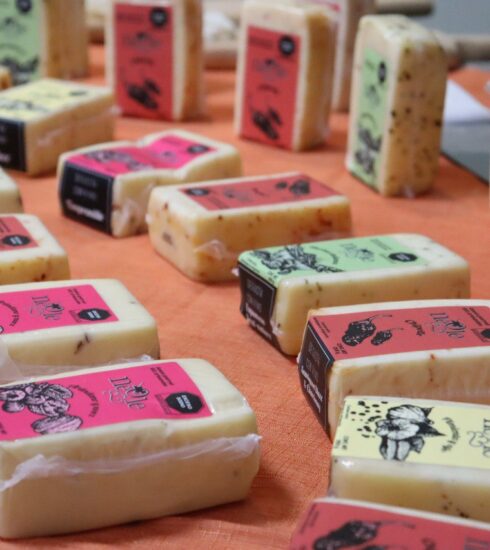 71 273 42303 827233342 VIVA EL QUESO