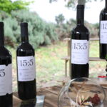 71 273 42354 443538350 IMG