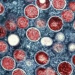 71 273 42543 1273085526 IMG