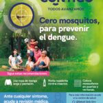 71 273 42755 1023018387 3 SESA 1111 DENGUE