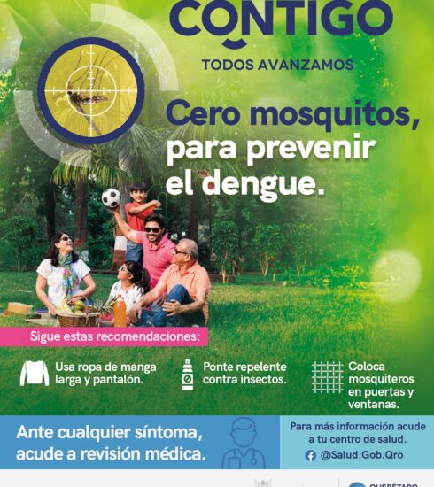 71 273 42755 1023018387 3 SESA 1111 DENGUE