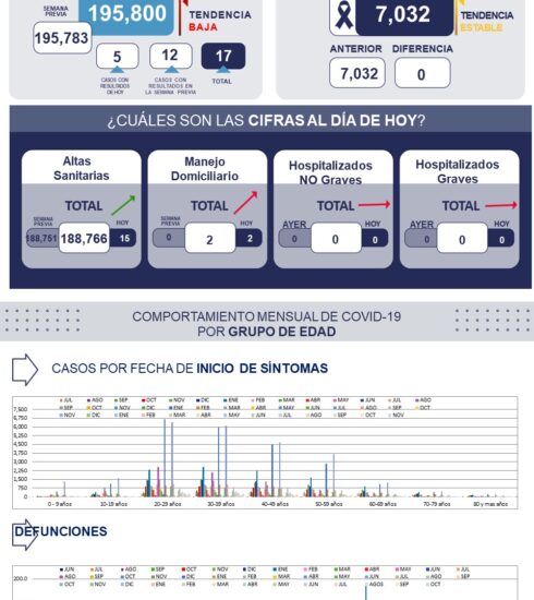 71 273 43180 2053235762 1 1912 SESA METRICA