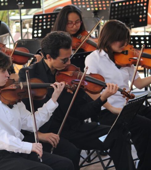 71 273 43216 1490344831 236 22 12 23 Secult Orquestas