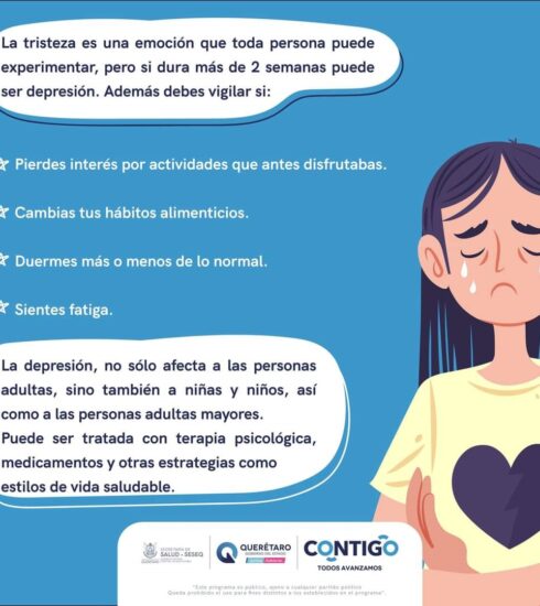 71 273 43328 428457666 1 1201 SESA DEPRESION