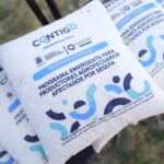 71 273 43423 1500805219 SEDEA maiz San Joaquin 23 01 2024