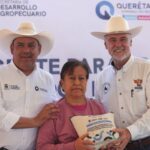 71 273 43431 734971005 SEDEA maiz Colon 24 01 2024