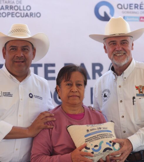 71 273 43431 734971005 SEDEA maiz Colon 24 01 2024