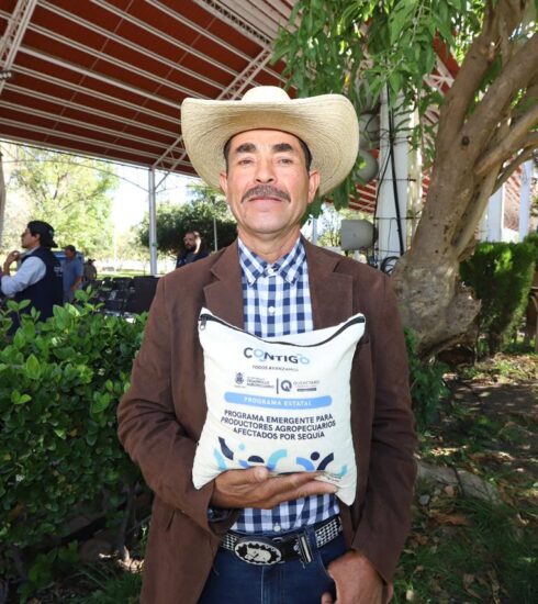 71 273 43445 1552028927 SEDEA maiz Queretaro Capital 25 01 2024