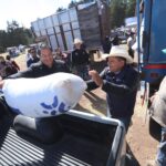 71 273 43529 358307824 SEDEA maiz Amealco 01 02 2024