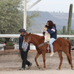 71 273 43532 2139591482 IMG