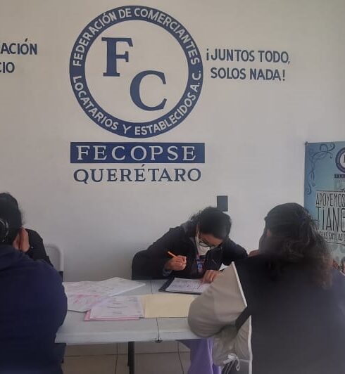 71 273 43553 737043596 1 0402 SESA DETECCION