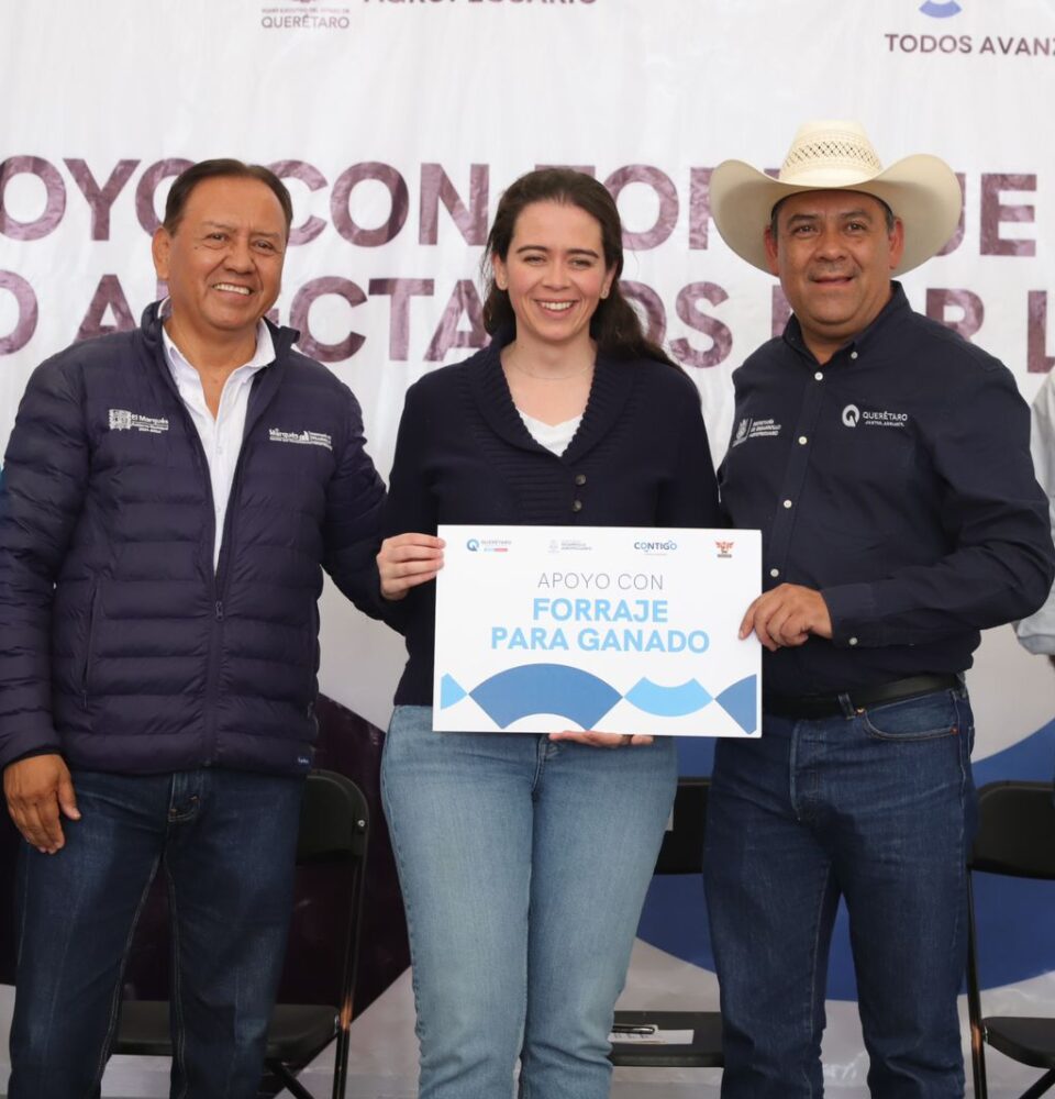 71 273 43680 805129578 SEDEA forraje Colon El Marques 16 02 2024