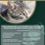 71 273 43698 1461142532 2 1902 SESA JORNADA NACIONAL