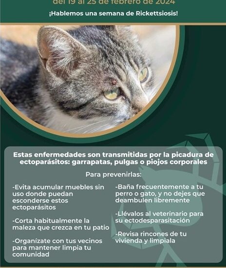 71 273 43698 1461142532 2 1902 SESA JORNADA NACIONAL