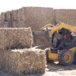 71 273 43734 1813333415 SEDEA forraje Amealco 21 02 2024