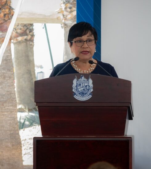 71 273 43742 1591944364 3 2102 SESA CORREGIDORA