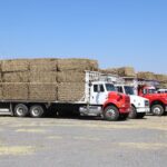 71 273 43754 1536061322 IMG 3789 (1)