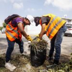 71 273 43861 1119059981 FOTO 7 Justicia Civica 02 29