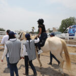 71 273 43897 810174507 040324 EQUINOTERAPIA