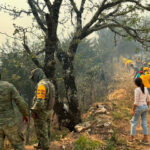 71 273 43921 1662628727 IMG