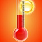 71 273 43925 816780463 IMG