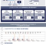 71 273 43927 1838911684 1 1103 SESA METRICA COVID19