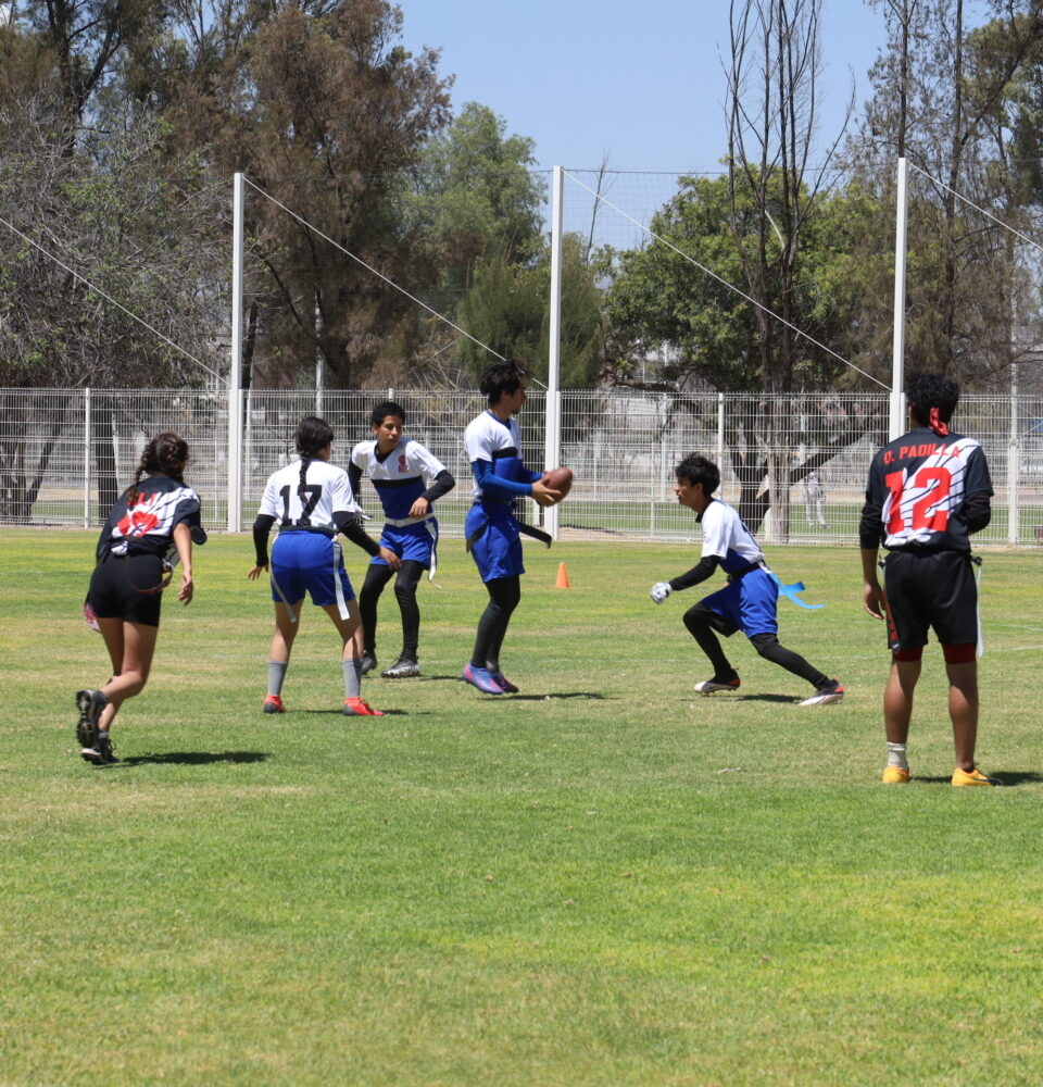 71 273 44000 412186121 IMG