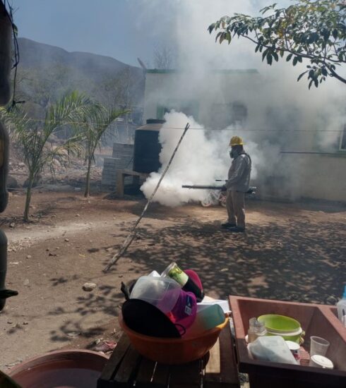 71 273 44132 1648201455 2 2004 SESA DENGUE