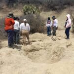 Screenshot 2024 04 29 21 29 22 88 a23b203fd3aafc6dcb84e438dda678b6