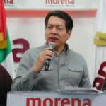 Elecciones morena