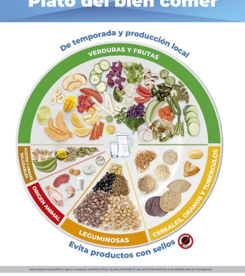 71 273 44372 379971569 1 2805 SESA NUTRICION (1)