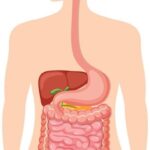 71 273 44373 1780799585 IMG