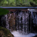 Unnamed (4)