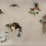 71 273 44487 673333194 12 06 24 Boldo 769