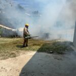 71 273 44799 2043092638 1 1207 SESA BRIGADAS VECTORES