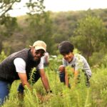 71 273 44963 222631765 reforestacion La Beata 29 07 2024