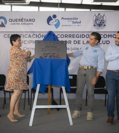 71 273 44982 1539306757 1 3007 SESA CORREGIDORA
