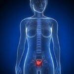 71 273 45062 292776708 1 0908 SESA CA