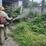 71 273 45198 1884922989 1 2408 SESA BRIGRADA VECTORES