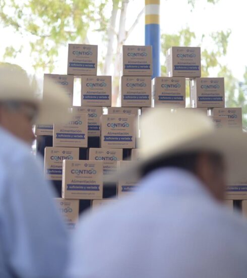 71 273 45207 759671734 26 08 24 ALIMENTARIO (2)