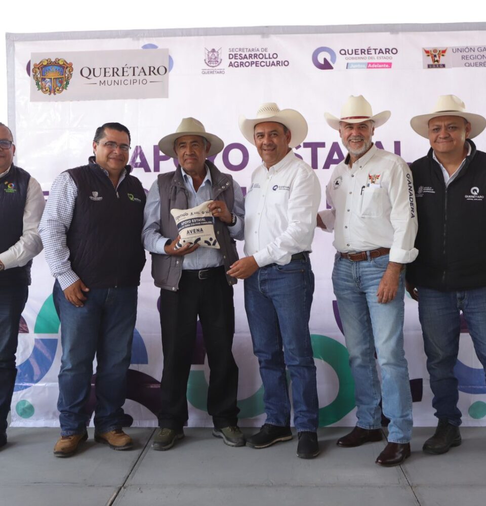 71 273 45258 691088010 SEDEA avena Qro. San Juan 30 08 2024
