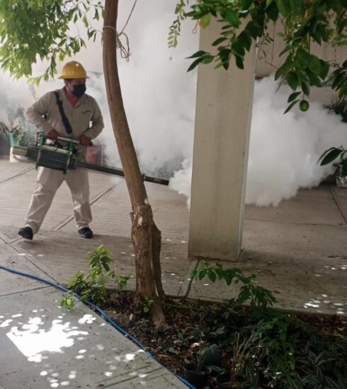 71 273 45325 2036409824 2 0609 SESA PREVENCION Y CONTROL DENGUE