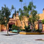 71 273 45346 1608005759 IMG