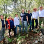 71 273 45408 501703632 REFORESTACION BEATA