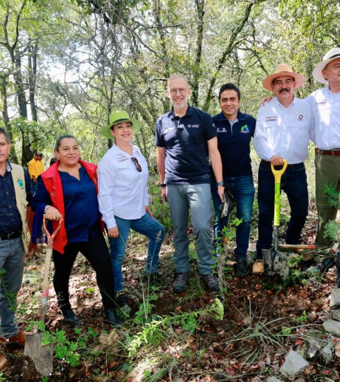 71 273 45408 501703632 reforestacion beata 3