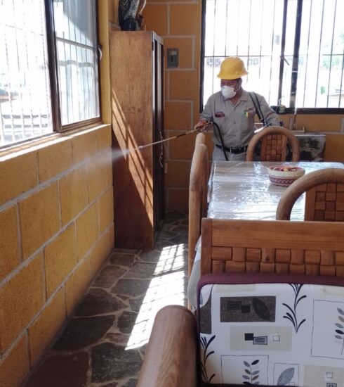 71 273 45490 364031254 1 2009 SESA ACCIONES VECTORES