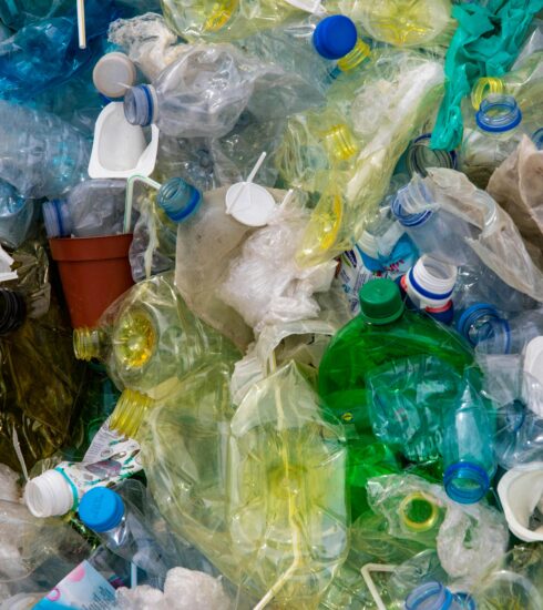 Pexels magda ehlers pexels