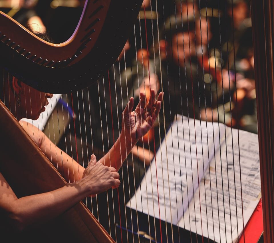 71 273 45905 1281652941 29 10 24 OFEQ1