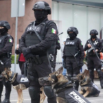 Captura de Pantalla 2024 10 11 a la(s) 14.25.29